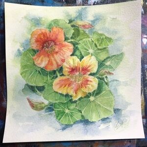 Nasturtiums Floral original Watercolor Art home decor cottage core botanical USA